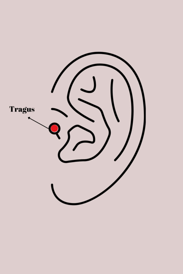 316L Çelik Gümüş Renk Mavi Zirkon Taşlı Tragus Piercing - Görsel 2